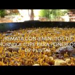 Receta de arrossejat de fideos tarraconense