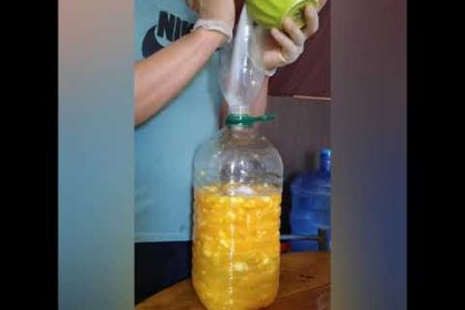 Receta de vino de naranja